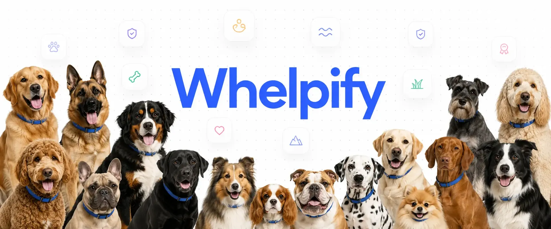 whelpify-facebook-banner